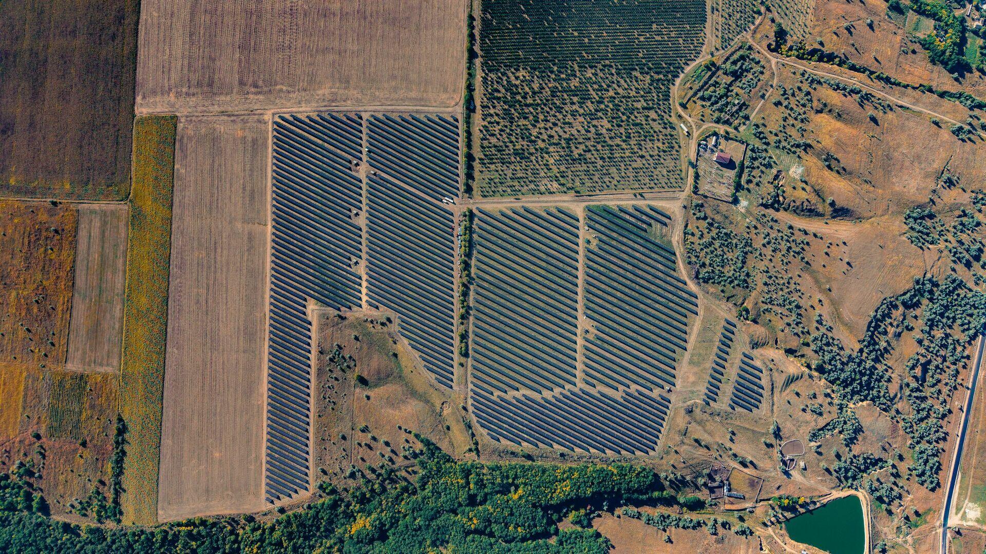 Technician in high-visibility vest checking solar panels in a sunny rural field