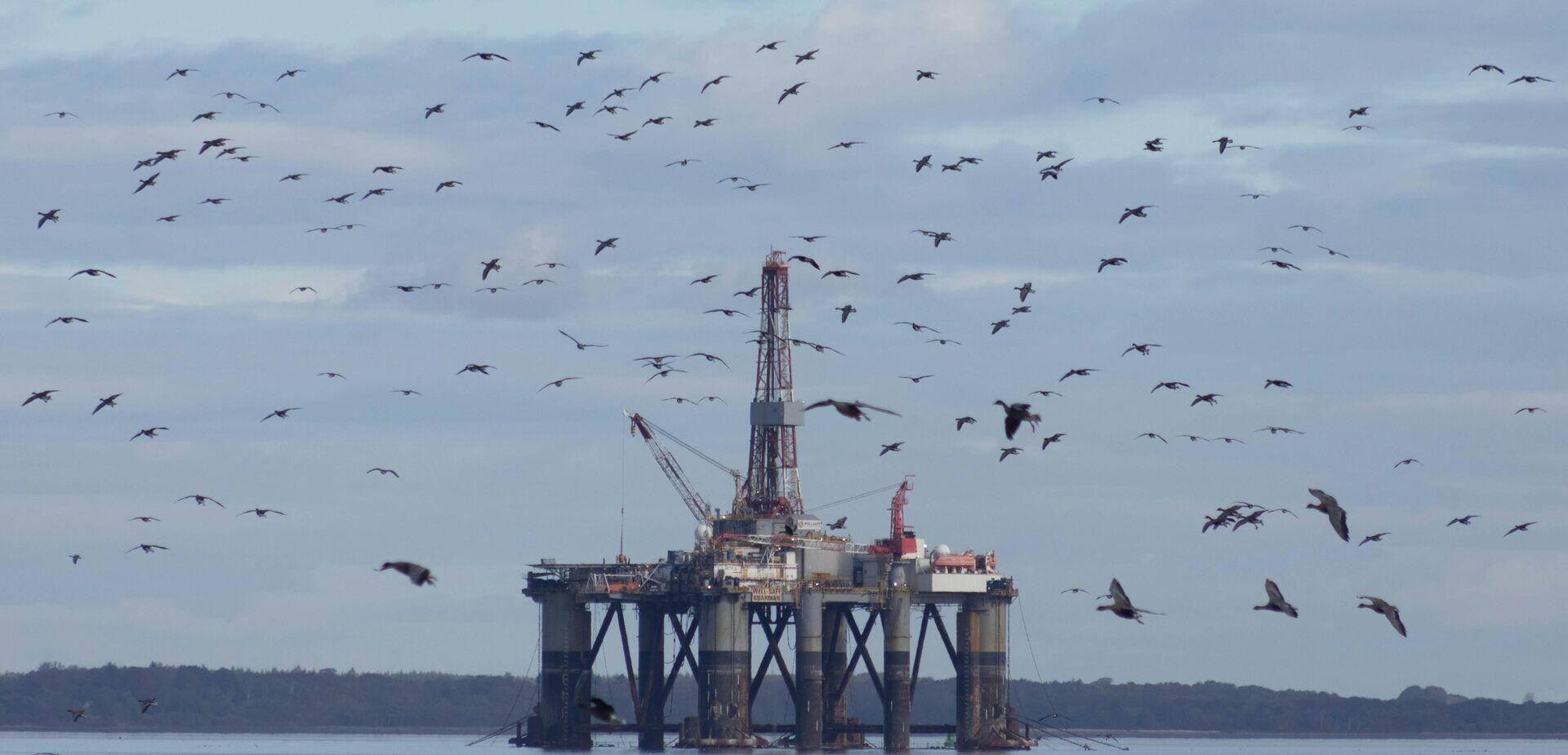 Offshore workers in hard hats reviewing equipment on a marine vessel above subsea infrastructure
