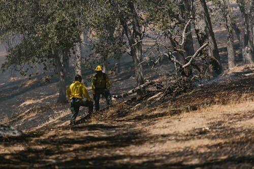 People fleeing or fighting an advancing wildfire through dense smoke and burning vegetation